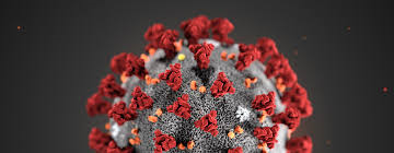 Cornavirus Image